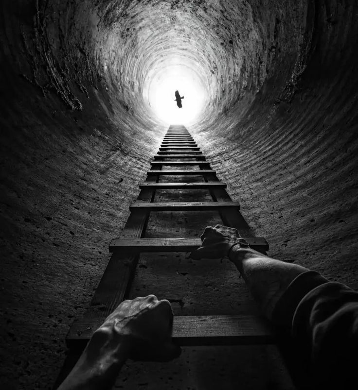 Balance_-_Climbing_a_ladder