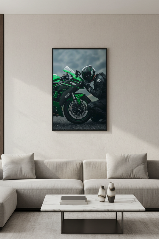 Bikes - Ninja Kissing