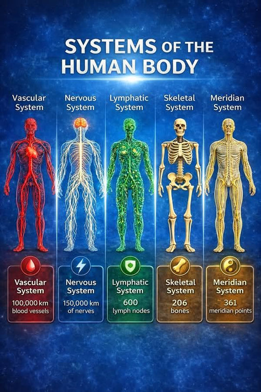 Edu-Bio- Human Body
