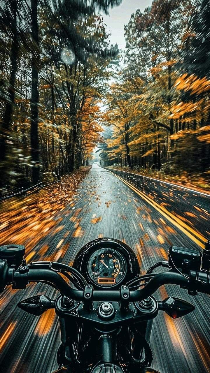 Bikes - FPV Autumn Ride