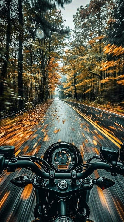 Bikes - FPV Autumn Ride