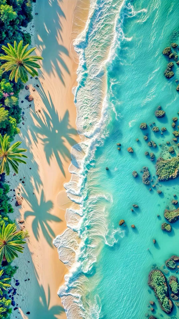 Tropical Beach framed wall art print — Casa Blend