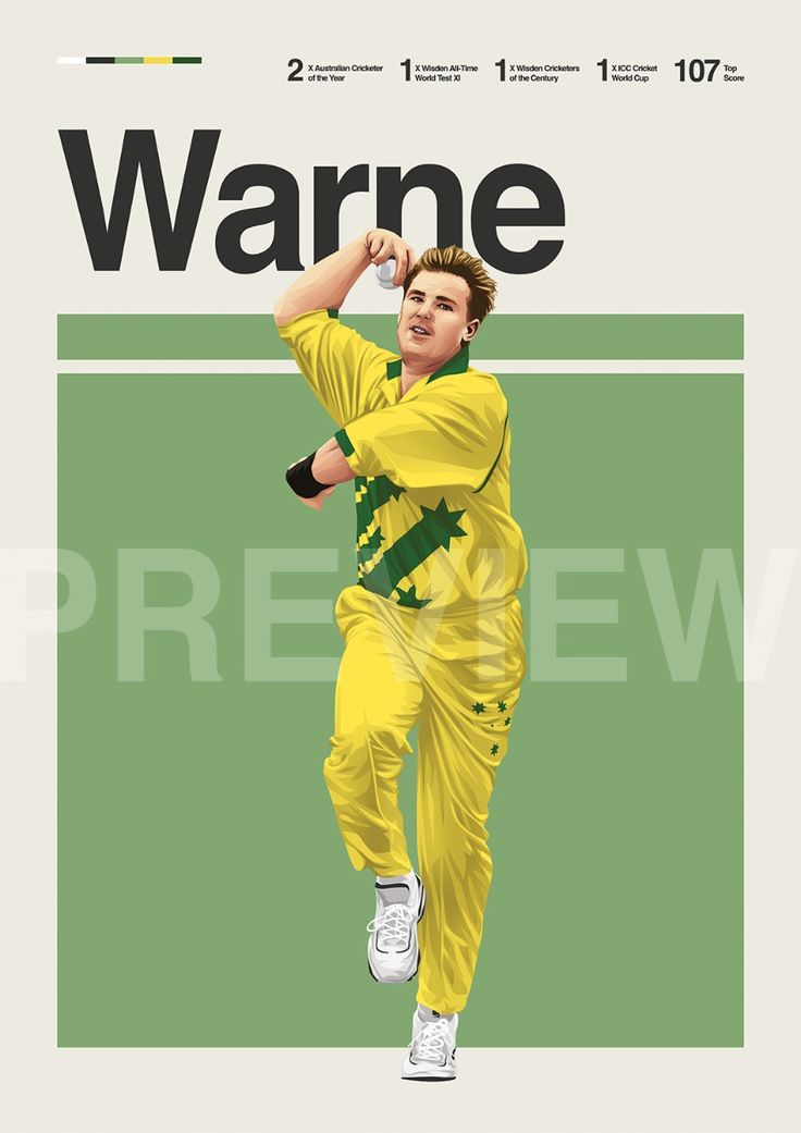Cricket - Warner