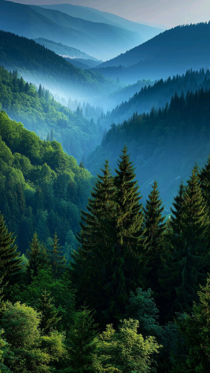 Green Hill Forest framed wall art print — Casa Blend